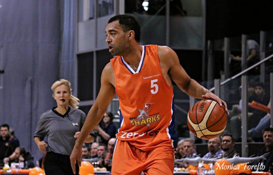 Southland Sharks2993